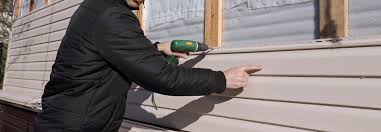 Affordable Siding Repair and Maintenance Services in Lealman, FL